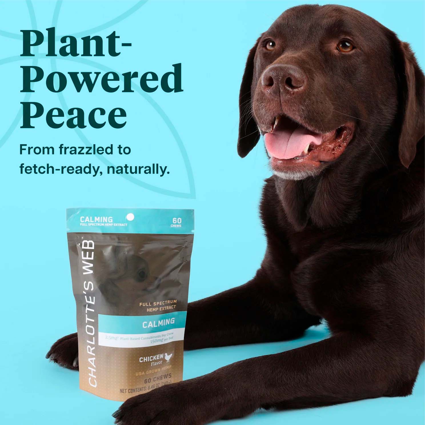 Charlotte’s Web, Calming Chews for Dogs, Chicken Flavor, Full Spectrum, 60ct, 150mg CBD