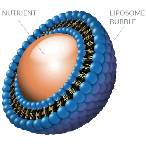 Liposomes