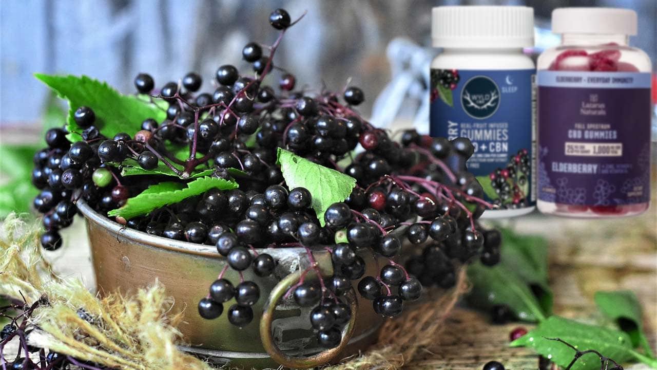 Brazil Traditional x Elderberry CBD - Circle of Drink