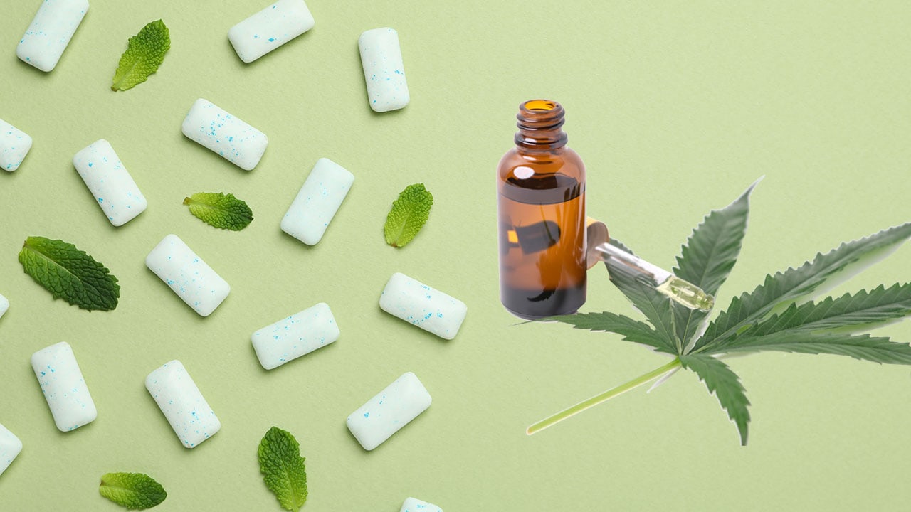 Everything You Need to Know Before Buying a CBD Gum