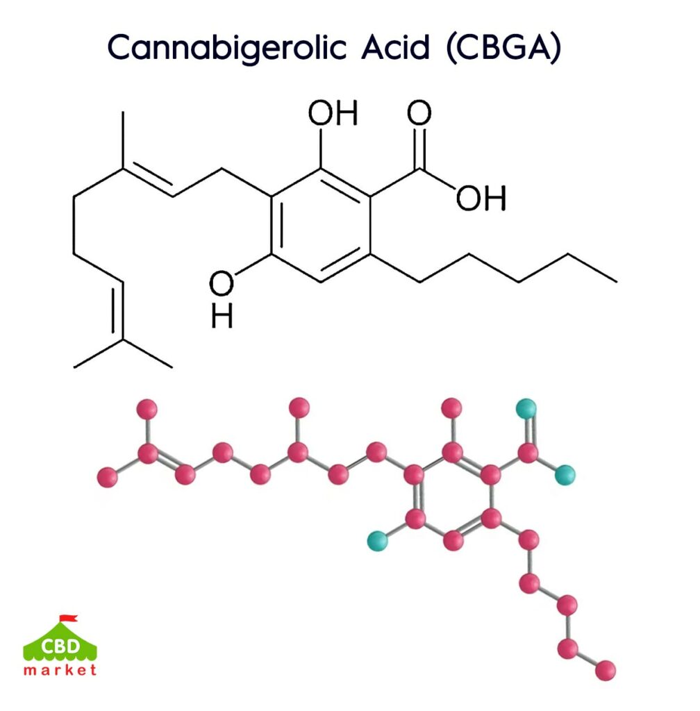 What is CBGA?