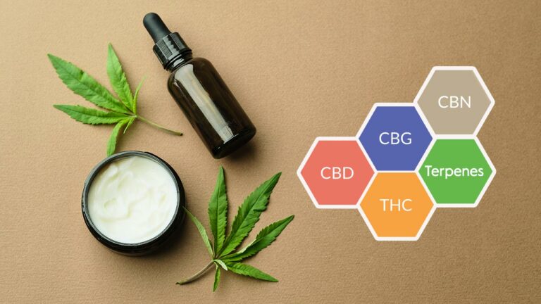 What Is Full Spectrum CBD Oil And What Is It Good For? - CBD.market