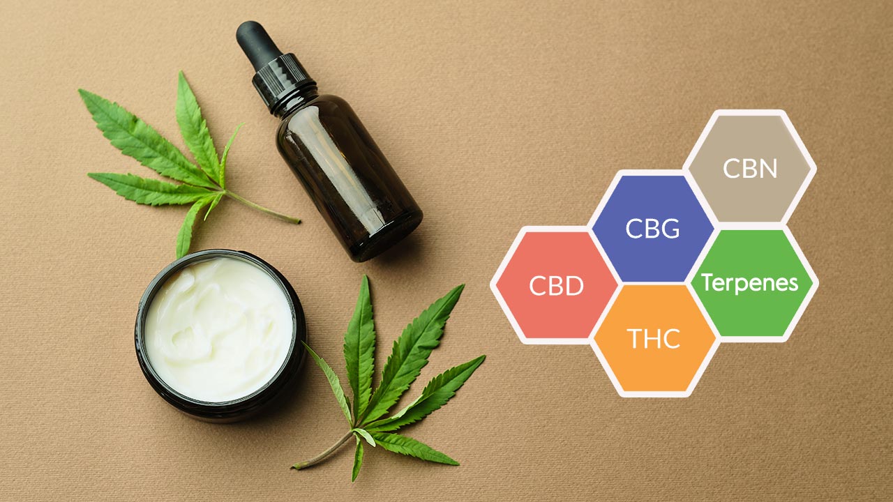 What is Full Spectrum CBD Oil?