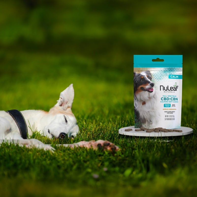 NuLeaf Naturals, CBD CBN Calming Chews for Dogs, Apple Cinnamon, Full Spectrum, 30ct, 60mg CBN + 120mg