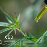 A New Study Focuses on Broad Spectrum and Isolate CBD Effects