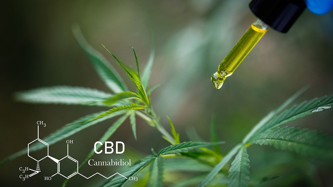 A New Study Focuses on Broad Spectrum and Isolate CBD Effects
