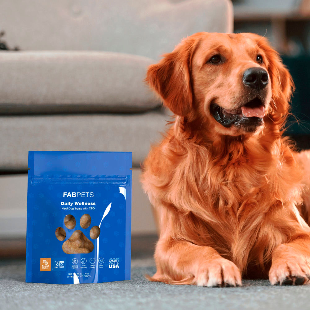 Fab CBD, Daily Wellness CBD Dog Treats, Peanut Butter, Full Spectrum, 30ct, 300mg CBD