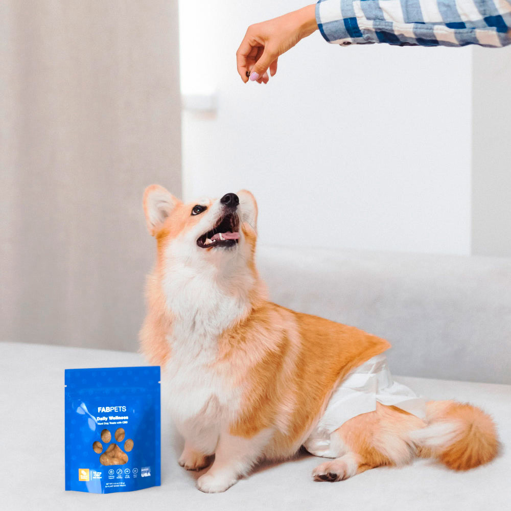 Fab CBD, Daily Wellness CBD Dog Treats, Peanut Butter, Full Spectrum, 30ct, 300mg CBD