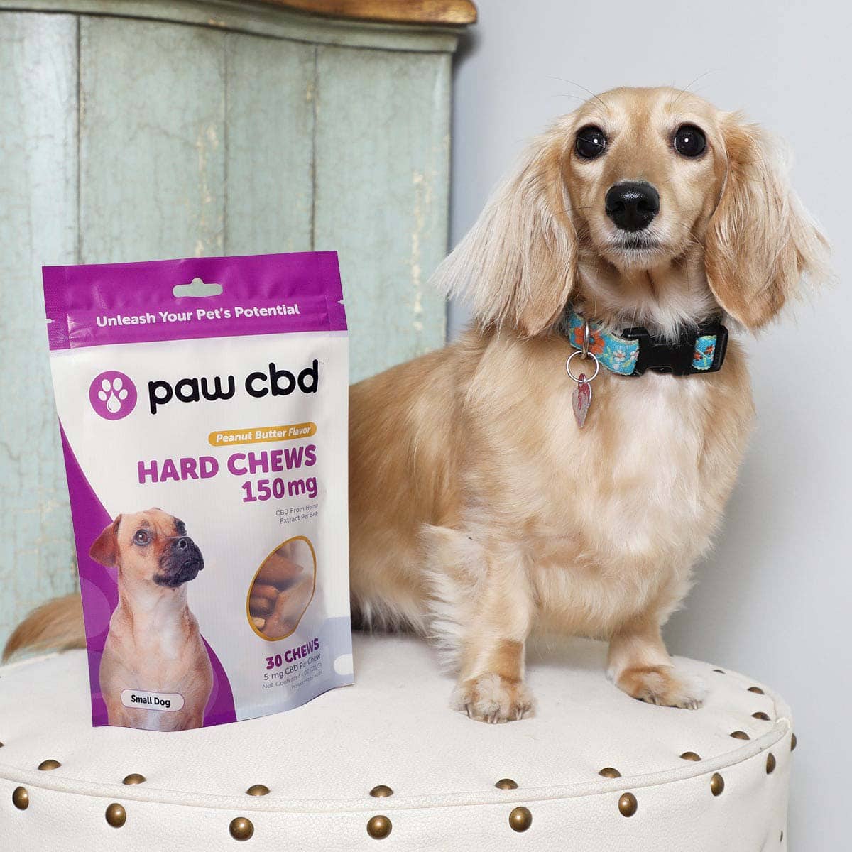 Paw CBD, Pet CBD Oil Hard Chews for Small Dogs, Peanut Butter, Broad Spectrum THC-Free, 30ct, 150mg CBD