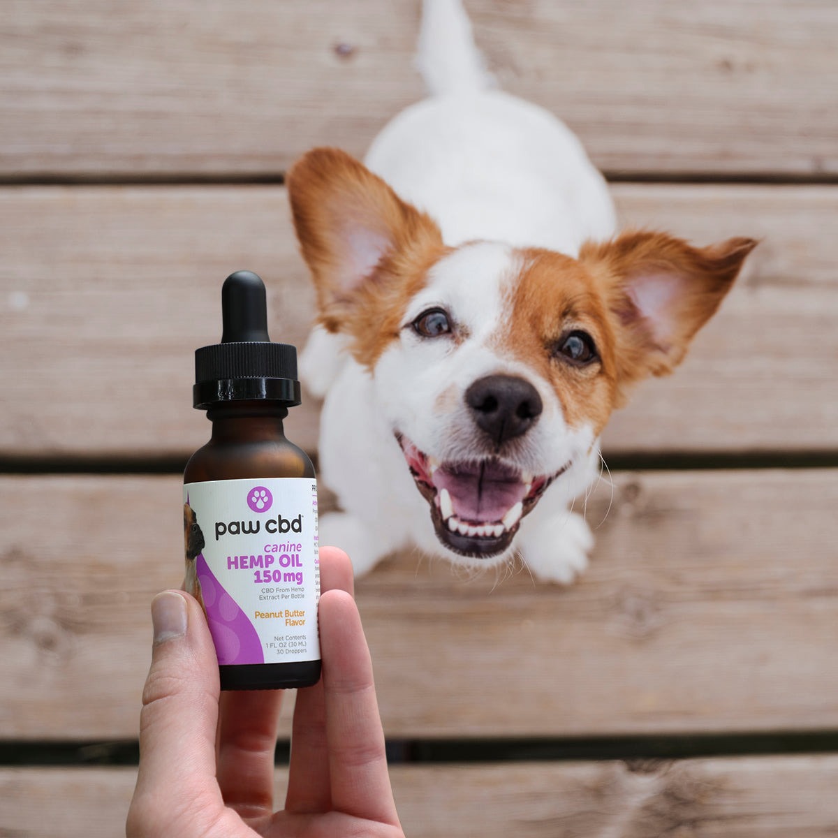 Cbd tincture cheap for dogs