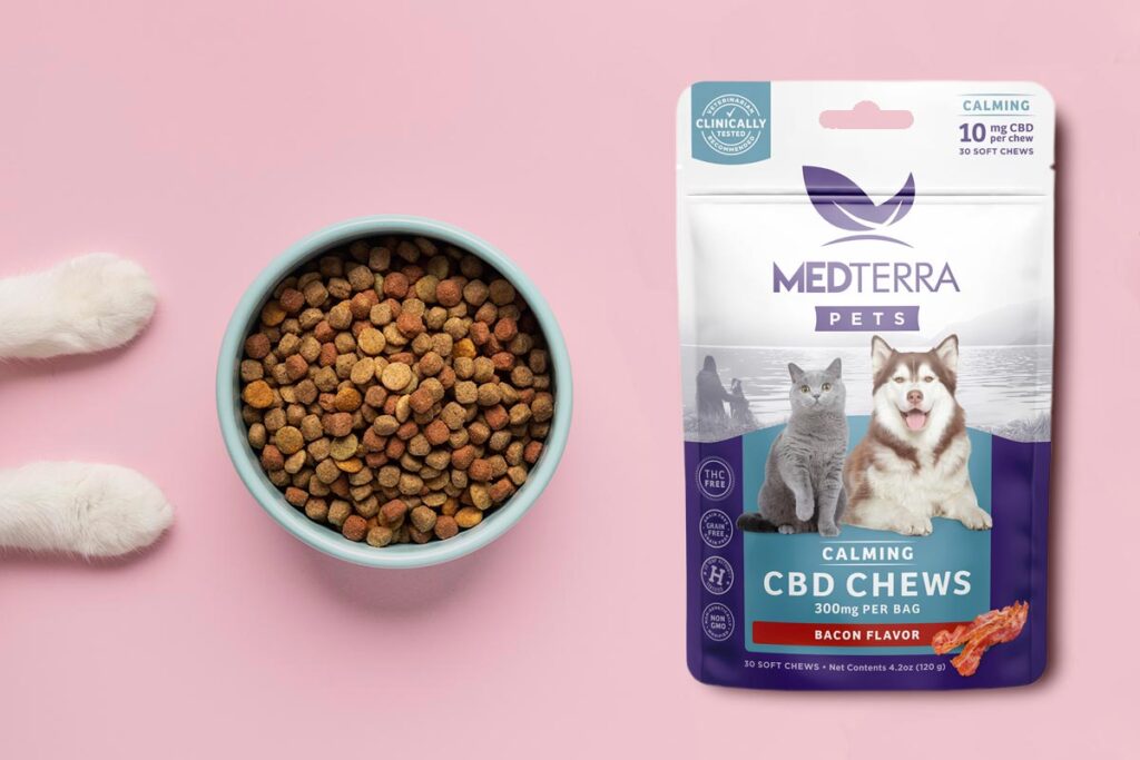 Using CBD Treats for Your Cats