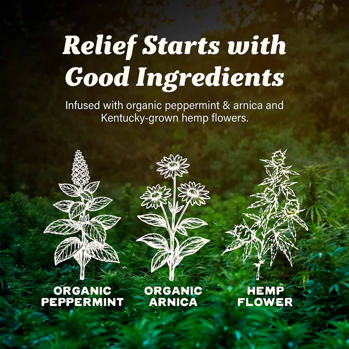 Cornbread Hemp, CBD Balm, Peppermint & Arnica, Full Spectrum, 2.4fl oz, 30mg THC + 750mg CBD