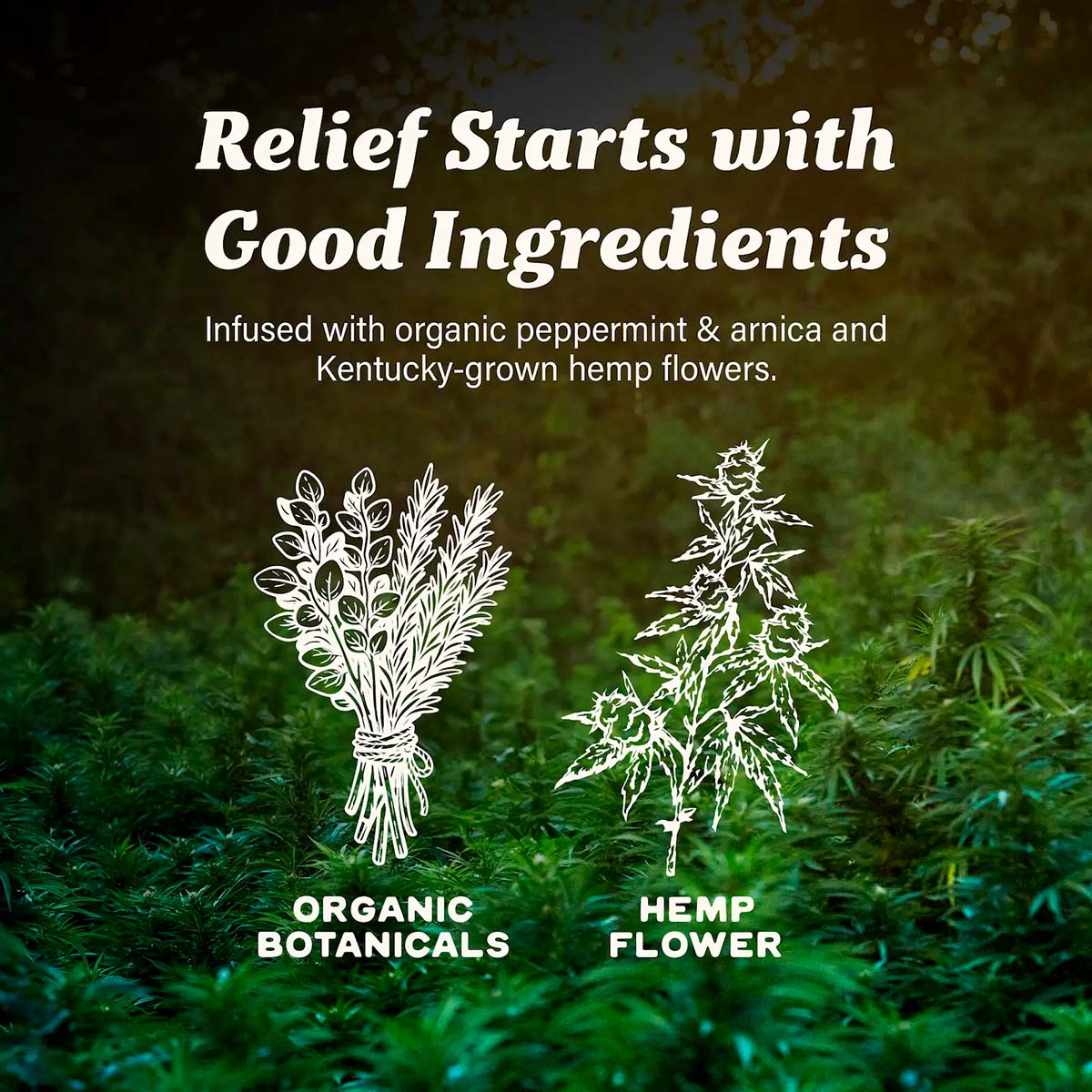 Cornbread Hemp, CBD Lotion Skin Formula, Full Spectrum, 1.7fl oz, 30mg THC + 750mg CBD