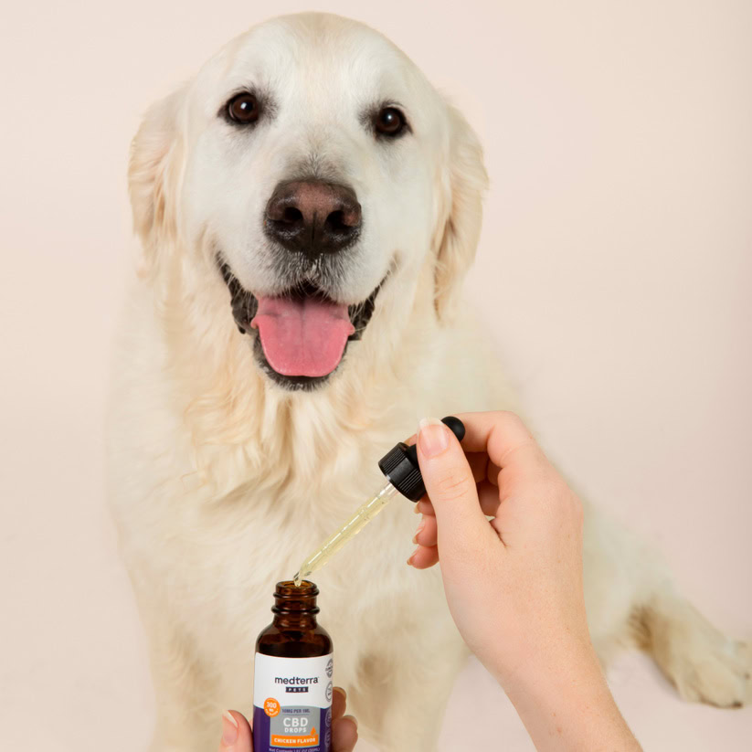 Medterra, CBD Drops for Dogs + Cats, Isolate THC-Free, Chicken, 1oz, 300mg CBD