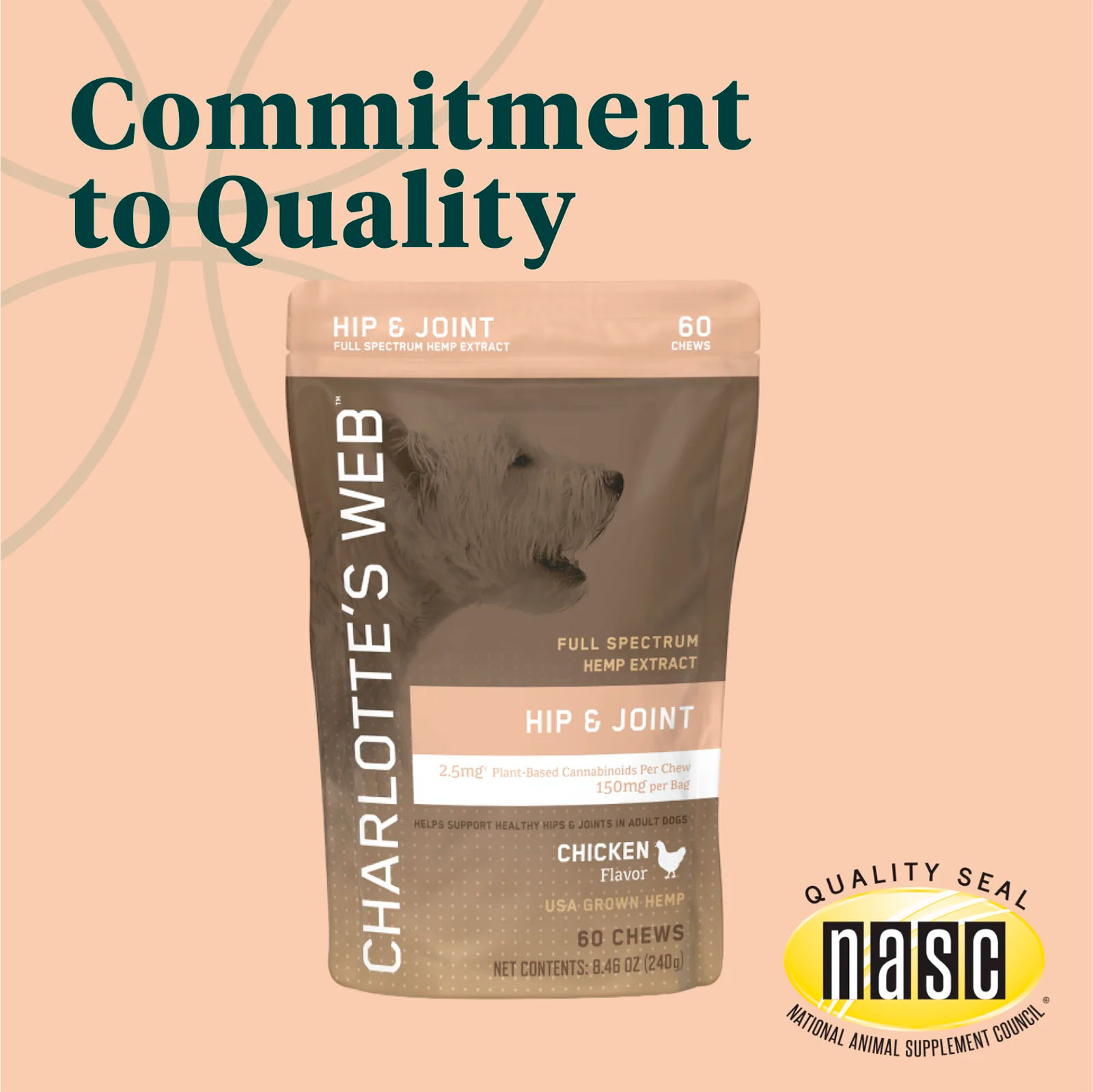 Charlotte’s Web, Hip & Joint Chews for Dogs, Chicken Flavor, Full Spectrum, 60ct, 150mg CBD