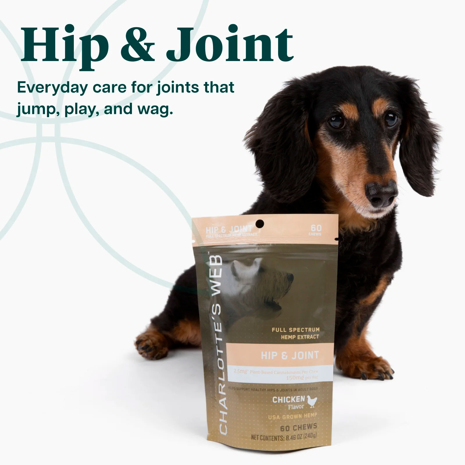 Charlotte’s Web, Hip & Joint Chews for Dogs, Chicken Flavor, Full Spectrum, 60ct, 150mg CBD