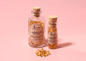 TheraBloom CBD Gummies USA? St Francis College