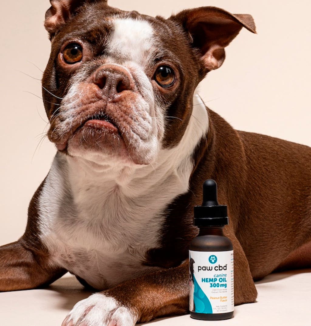 Paw CBD, Pet CBD Oil Tincture for Dogs, Peanut Butter, Broad Spectrum THC-Free, 1oz, 300mg CBD