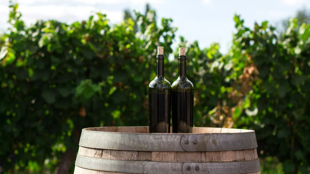 CBD Wine Sales May Soon Experience Significant Growth