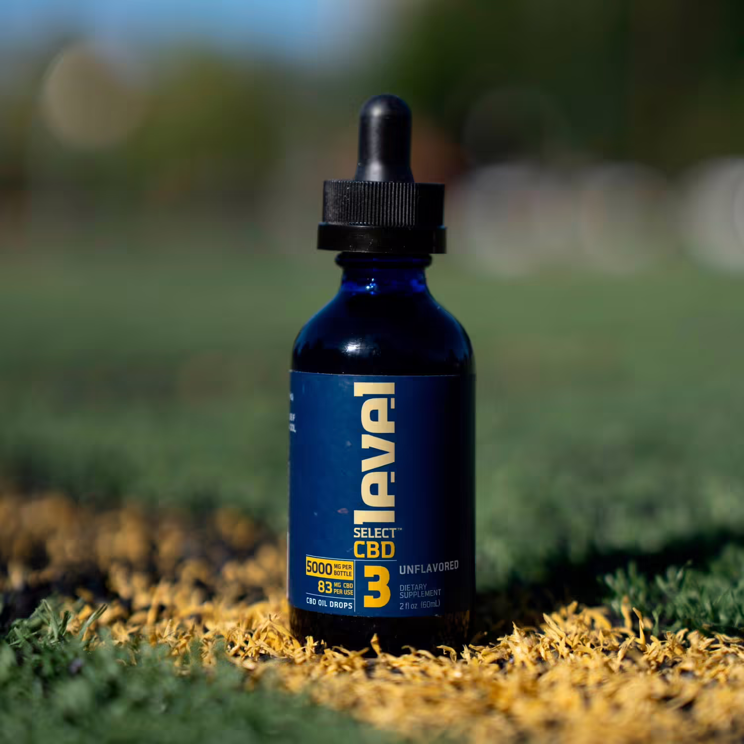 Level Select CBD, LVL 3 Daily CBD Drops, Unflavored, Broad Spectrum THC-Free, 2fl oz, 5000mg CBD