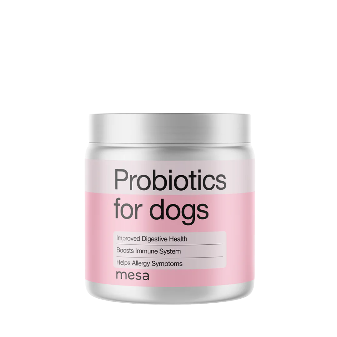 Hello Mesa Dog Probiotics