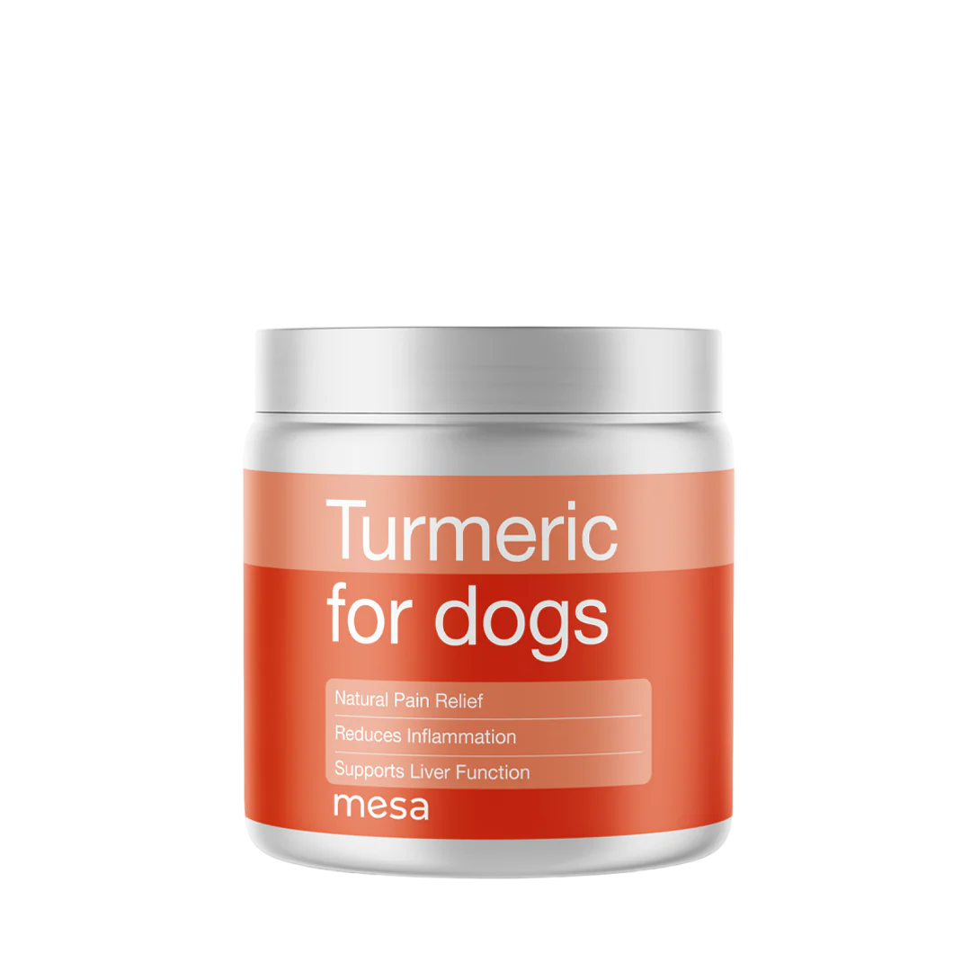 Hello Mesa Turmeric Chews for Dogs