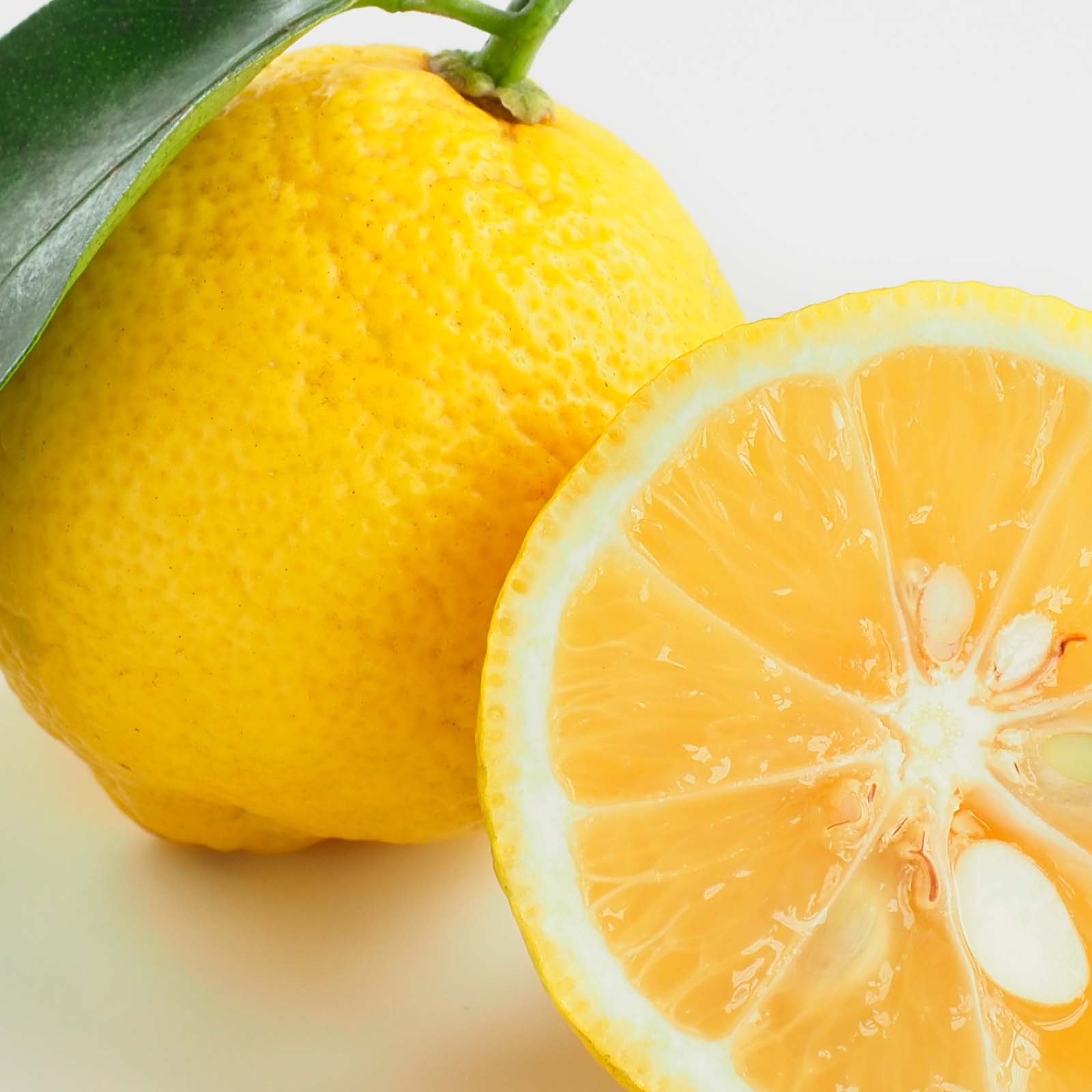 Charlotte’s Web, Brain Support CBD Gummies, Yuzu Citrus, Broad Spectrum THC-Free, 60ct, 750mg CBD