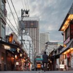 Japan Issues New Guidance on THC Limits in CBD Products