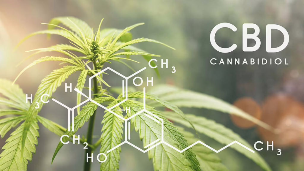 Researchers Find CBD Transforms During High-Temperature Extraction