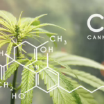 Researchers Find CBD Transforms During High-Temperature Extraction