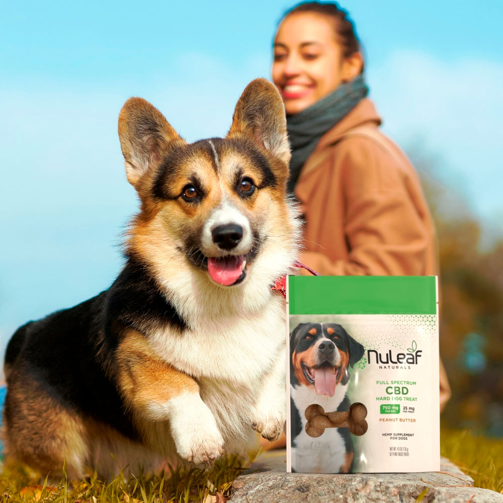 NuLeaf Naturals, CBD Hard Dog Treats, Peanut Butter, Full Spectrum, 30ct, 750mg CBD