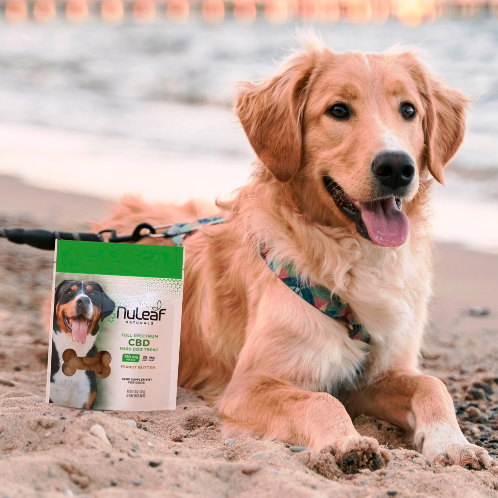 NuLeaf Naturals, CBD Hard Dog Treats, Peanut Butter, Full Spectrum, 30ct, 750mg CBD