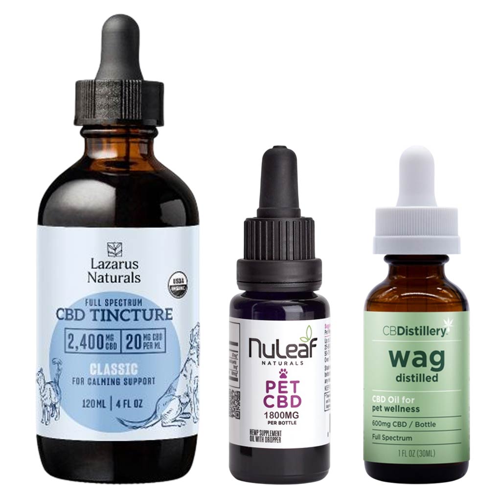 CBD Oil for Dogs