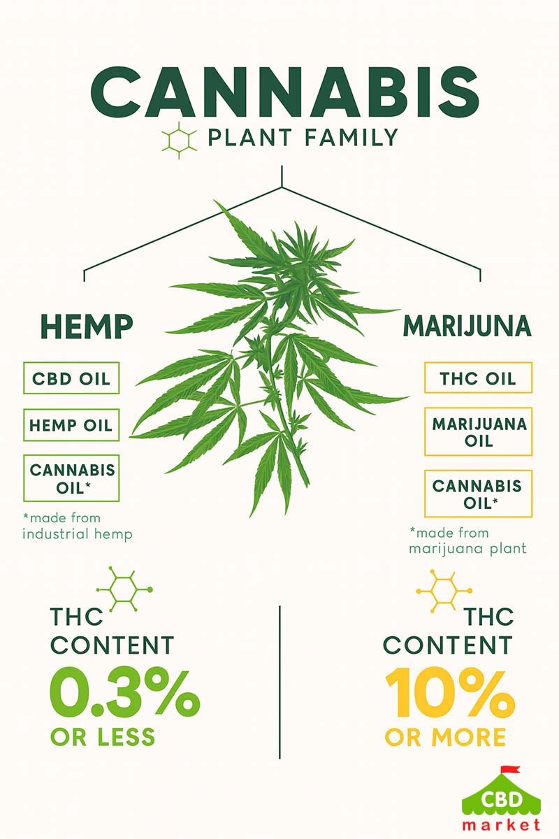 Hemp and marijuana plants