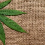 White House Orders Schedule III Reclassification