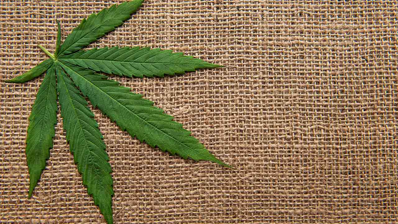 White House Orders Schedule III Reclassification