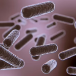 Study Examines CBD-Probiotic Delivery Using a Double Emulsion Gel