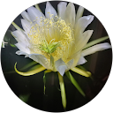 Jessica millis profile picture