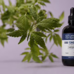 What Are Flavonoids in CBD Products?