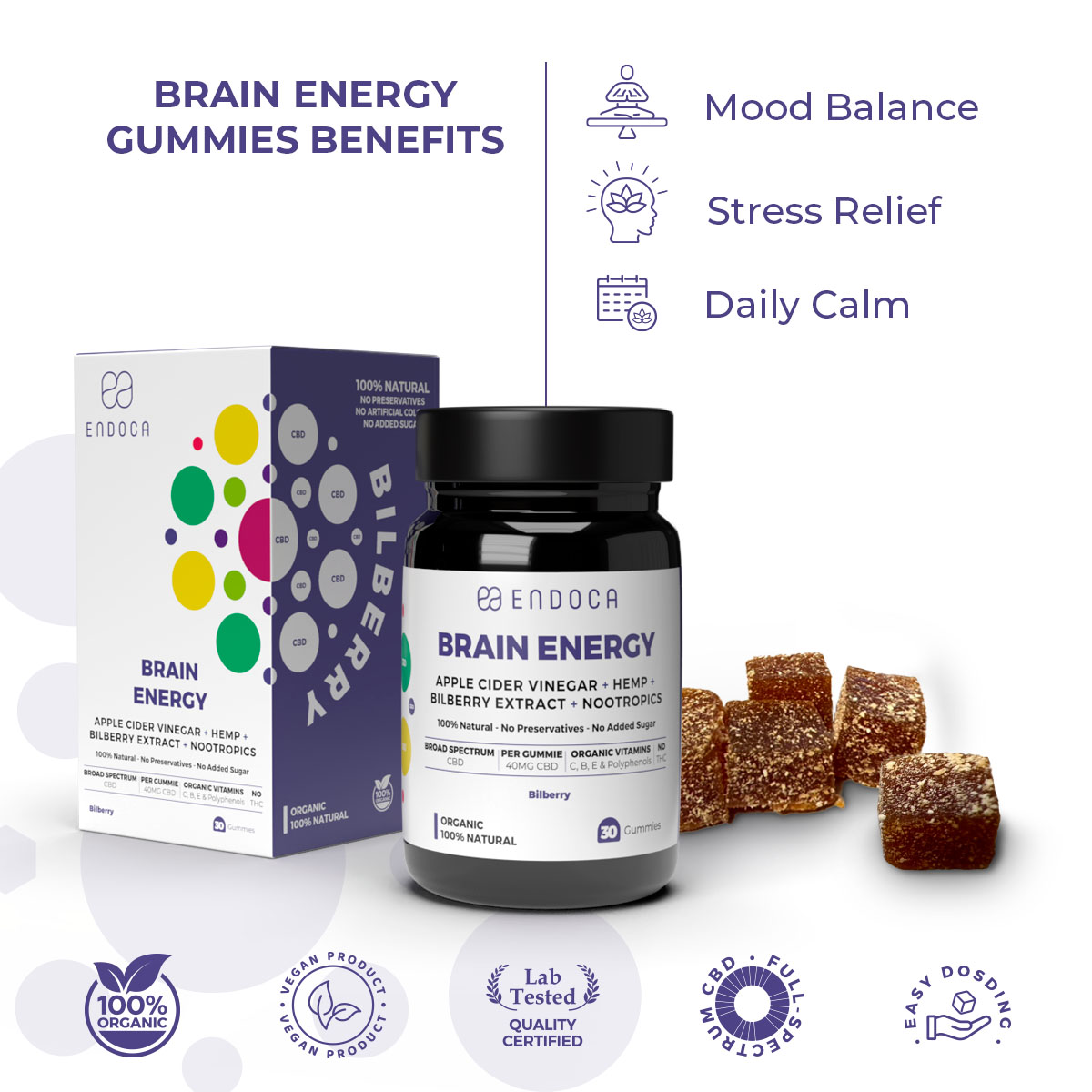 Endoca, Brain Energy CBD Gummies, Bilberry, Broad Spectrum THC-Free, 30ct, 1200mg CBD