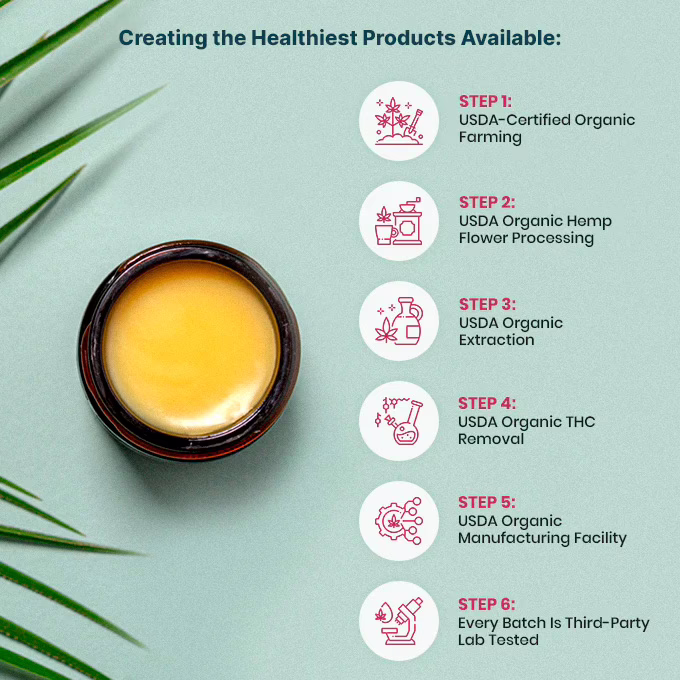 Joy Organics, Organic CBD Salve, Broad Spectrum THC-Free, 1fl oz, 1000mg CBD