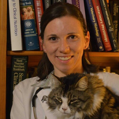 Dr. Chyrle Bonk, DVM