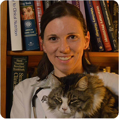 Dr. Chyrle Bonk
