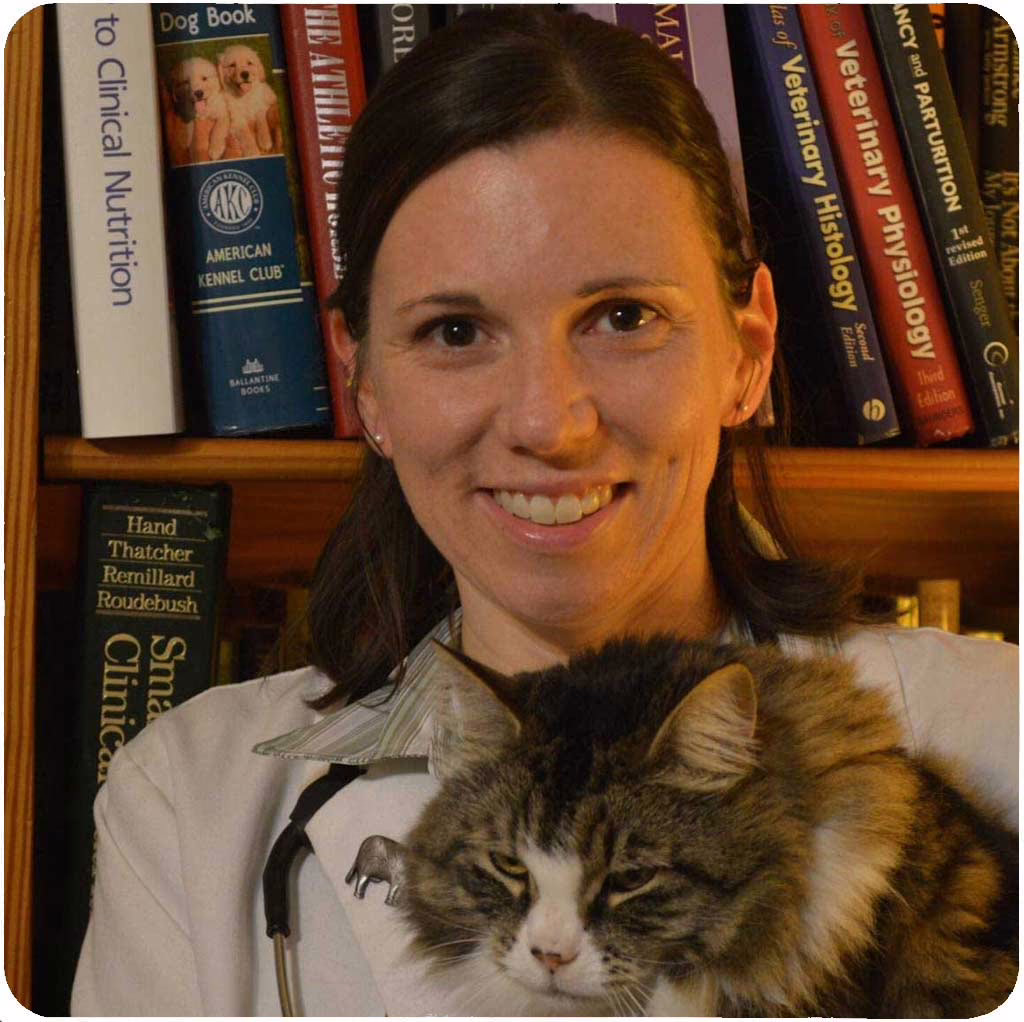 Dr. Chyrle Bonk