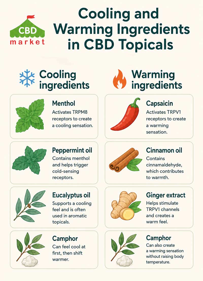 What Actually Makes a Topical Feel Warming or Cooling?