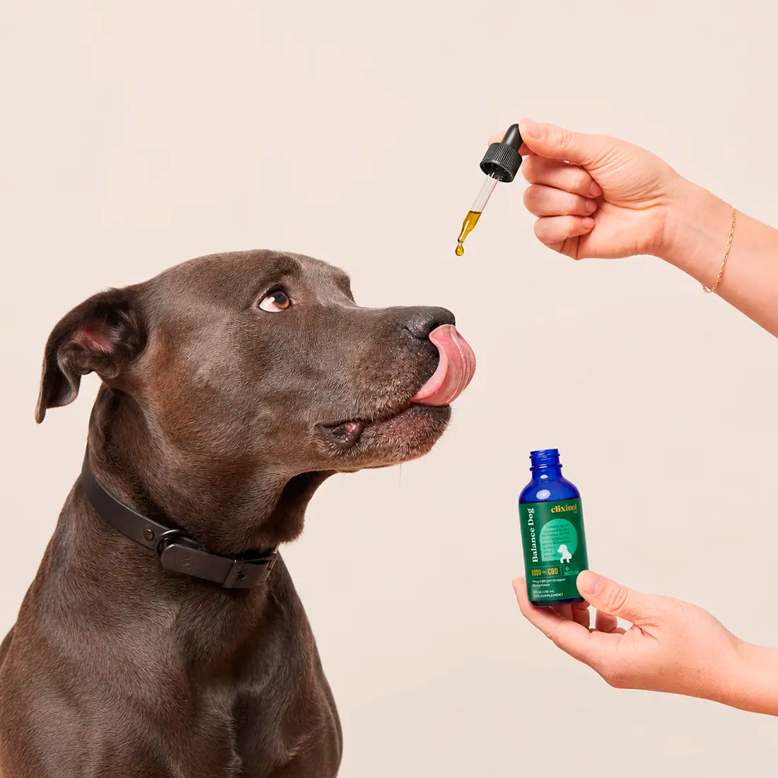 Elixinol, Balance Dog CBD Oil, Bacon, Broad Spectrum THC-Free, 2fl oz, 1000mg CBD