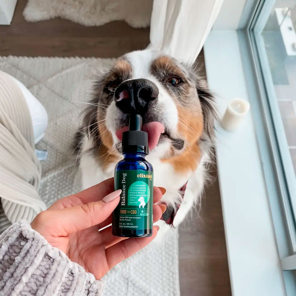 Elixinol, Balance Dog CBD Oil, Bacon, Broad Spectrum THC-Free, 2fl oz, 1000mg CBD
