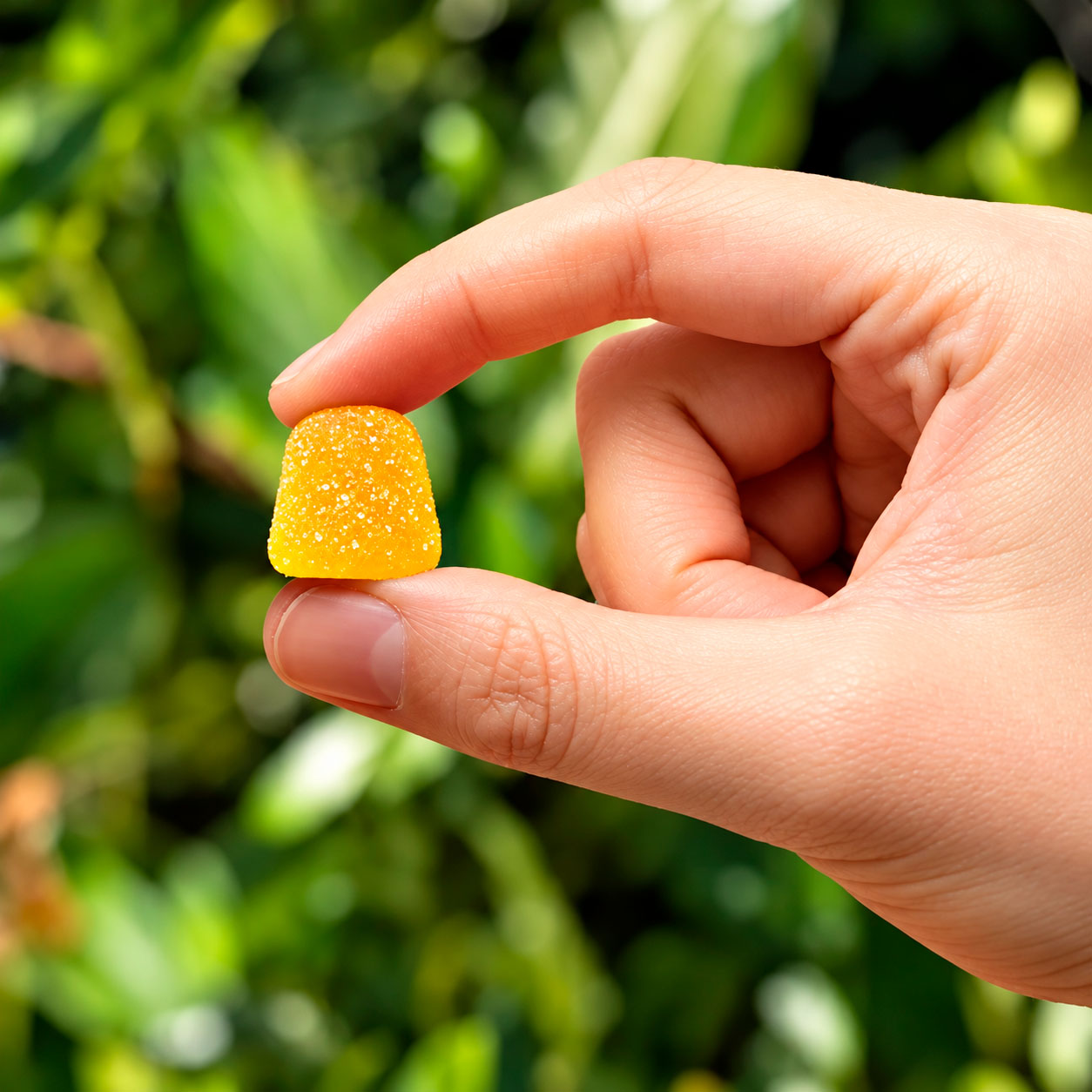 Nuleaf Naturals, CBN, CBD Gummies, Sour Citrus, Broad Spectrum THC-Free, 60ct, 300mg CBN + 600mg CBD