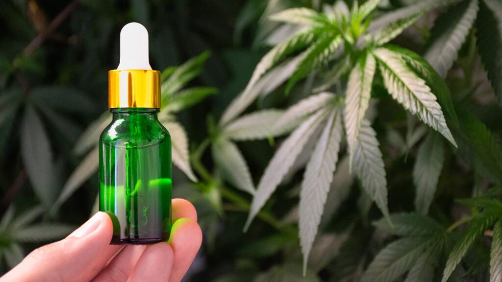 Hemp Law Uncertainty Slows Medicare CBD Rollout