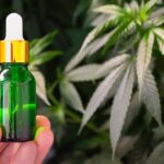 Hemp Law Uncertainty Slows Medicare CBD Rollout